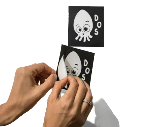 Slide image
